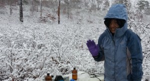 Groundwater collection in 2013 for incubation's during first snow storm of the year!